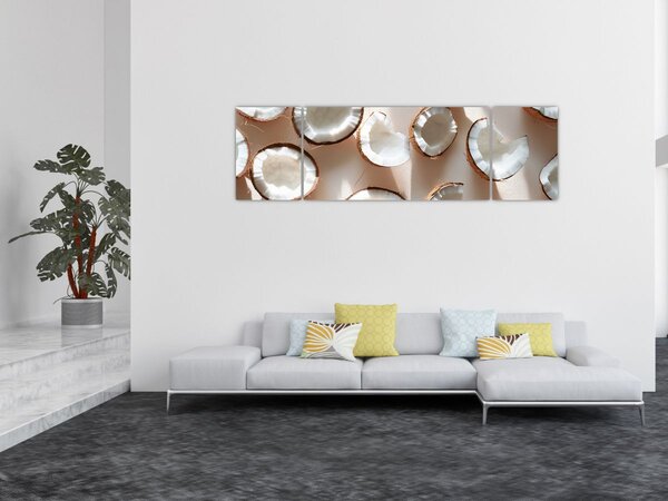 Obraz - Kokosové ořechy (170x50 cm)