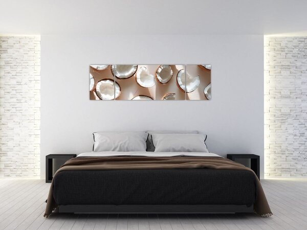 Obraz - Kokosové ořechy (170x50 cm)
