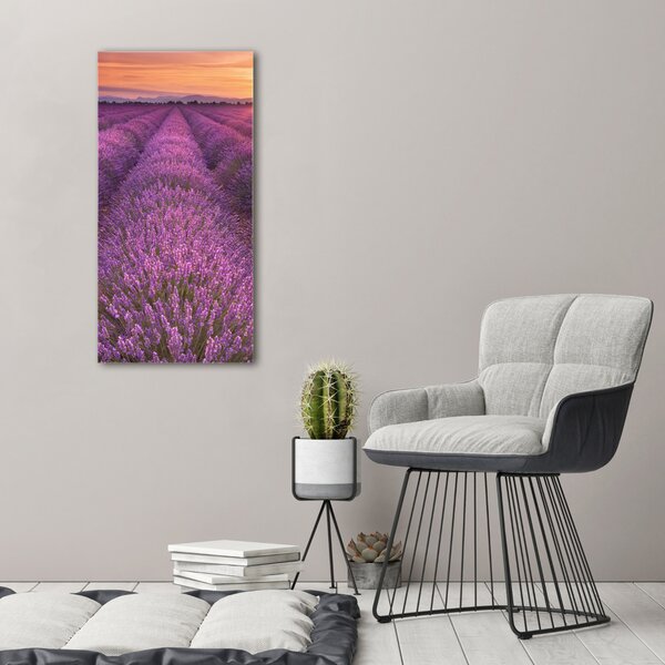 Vertikální Foto obraz canvas Pole levandule ocv-102438053
