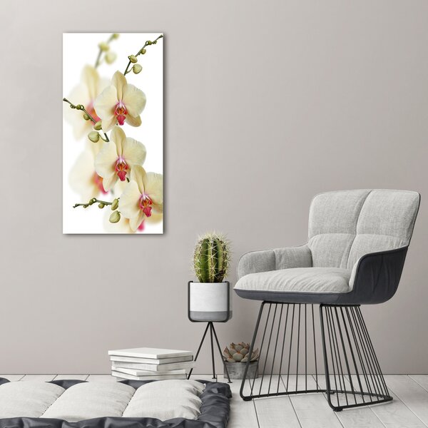 Vertikální Vertikální Foto obraz na plátně do obýváku Orchidej ocv-102443917