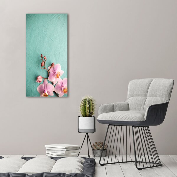 Vertikální Foto obraz na plátně Růžová orchidej ocv-102905480