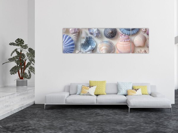 Obraz - Sbírka mušlí (170x50 cm)