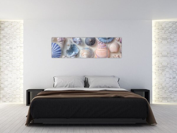 Obraz - Sbírka mušlí (170x50 cm)