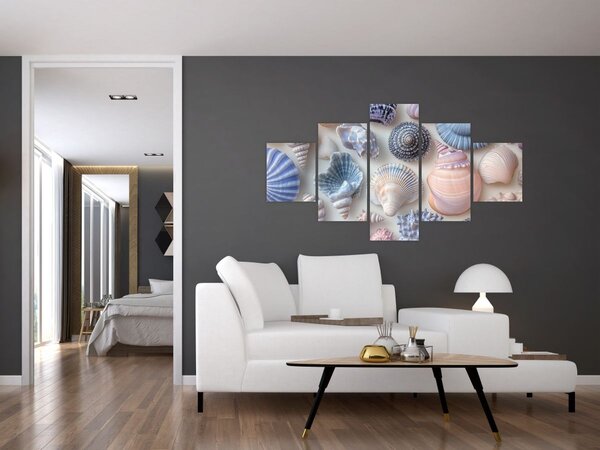 Obraz - Sbírka mušlí (125x70 cm)