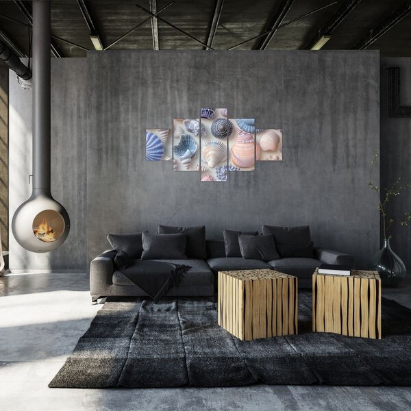 Obraz - Sbírka mušlí (125x70 cm)