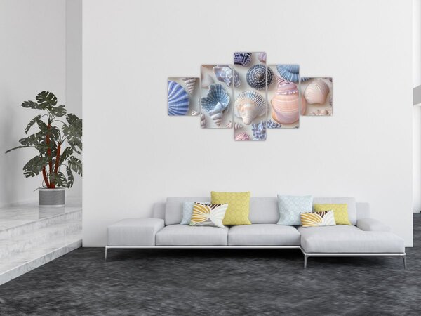 Obraz - Sbírka mušlí (125x70 cm)
