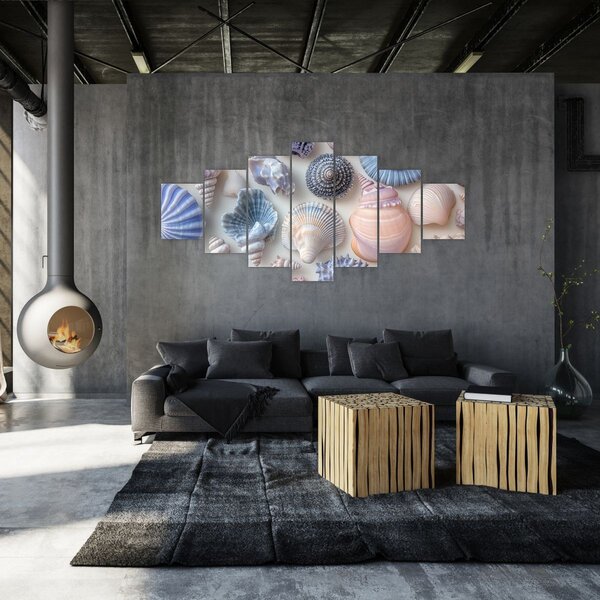 Obraz - Sbírka mušlí (210x100 cm)