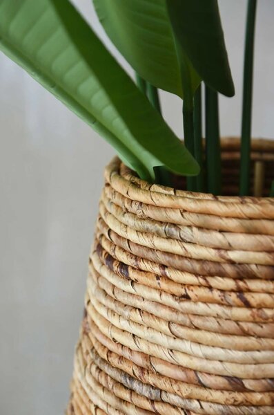 Pokojový květináč ROTA, vodní hyacint, průměr 46 cm, natur