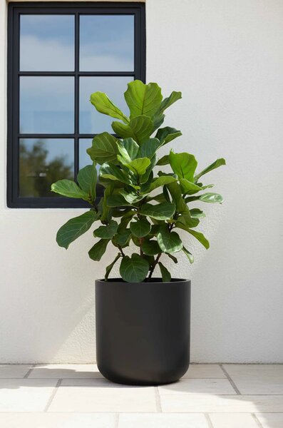 Květináč CHICO, sklolaminát, průměr 45 cm, antracit