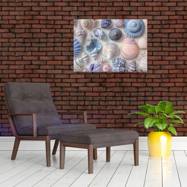 Obraz - Sbírka mušlí (70x50 cm)