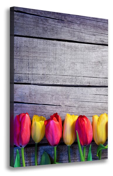 Vertikální Foto obraz na plátně Barevné tulipány ocv-103218042