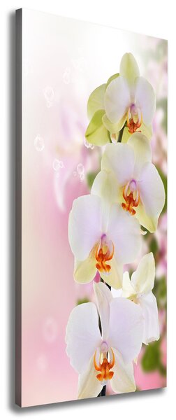 Vertikální Foto obraz na plátně Bílá orchidej ocv-103974386