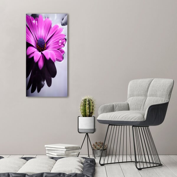 Foto-obraz canvas do obýváku Růžová gerbera ocv-104053300