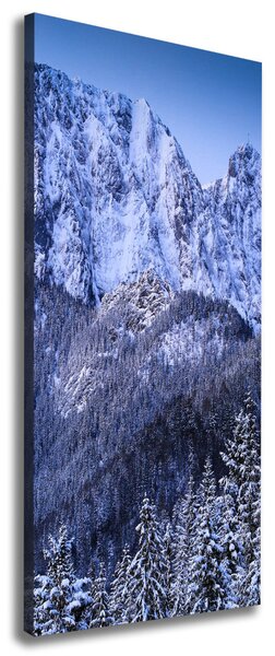 Vertikální Foto obraz na plátně Gievont Tatry ocv-104104346
