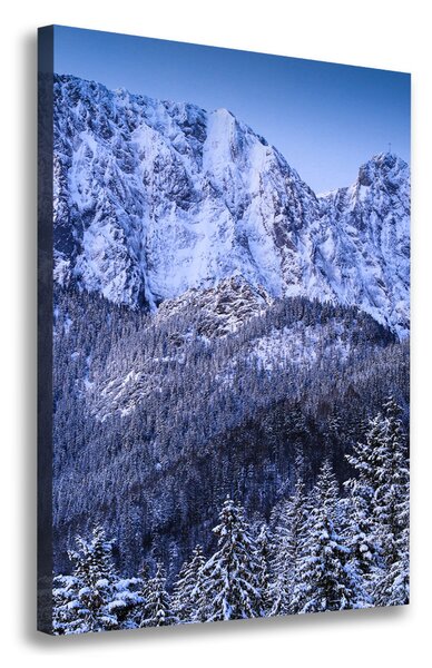 Vertikální Foto obraz na plátně Gievont Tatry ocv-104104346