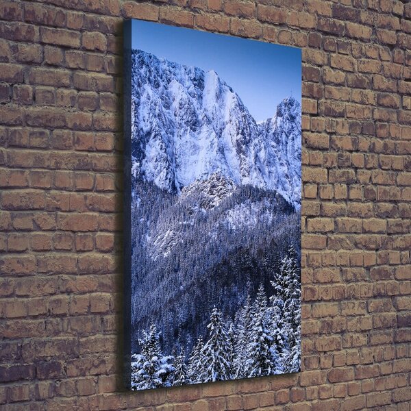 Vertikální Foto obraz na plátně Gievont Tatry ocv-104104346