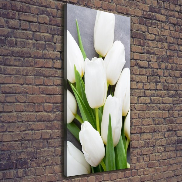 Vertikální Foto obraz na plátně Bílé tulipány ocv-104270630