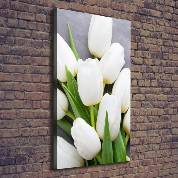 Vertikální Foto obraz na plátně Bílé tulipány ocv-104270630