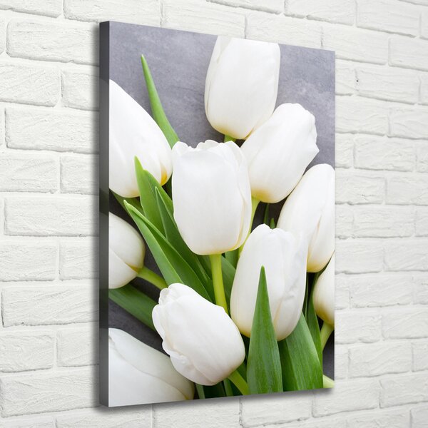 Vertikální Foto obraz na plátně Bílé tulipány ocv-104270630