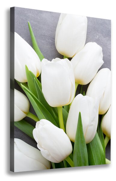 Vertikální Foto obraz na plátně Bílé tulipány ocv-104270630