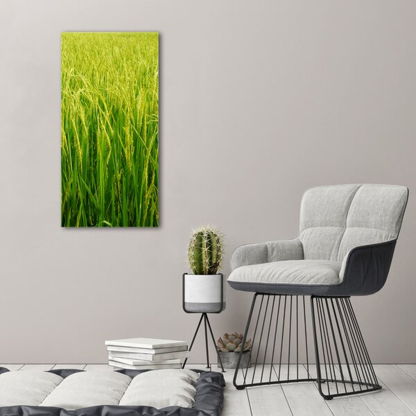 Foto-obraz canvas do obýváku Plantáž rýže ocv-104337572