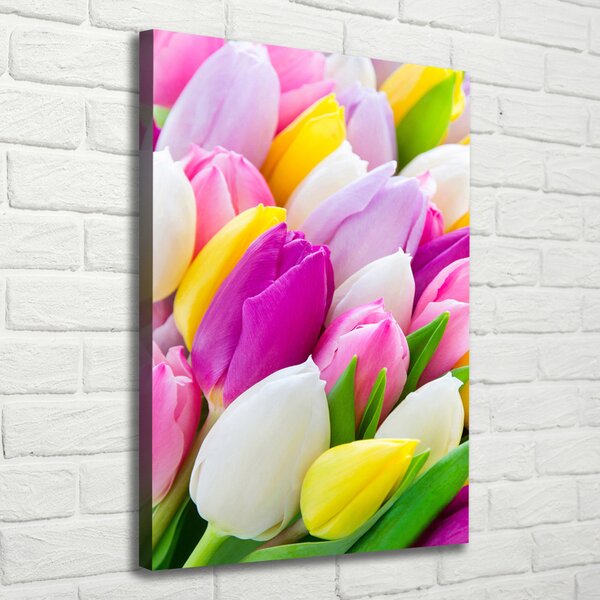 Vertikální Foto obraz na plátně Barevné tulipány ocv-104468261