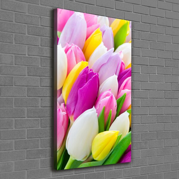 Vertikální Foto obraz na plátně Barevné tulipány ocv-104468261