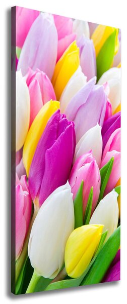 Vertikální Foto obraz na plátně Barevné tulipány ocv-104468261