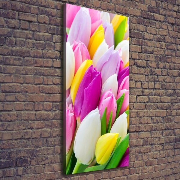 Vertikální Foto obraz na plátně Barevné tulipány ocv-104468261