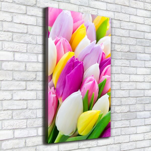 Vertikální Foto obraz na plátně Barevné tulipány ocv-104468261