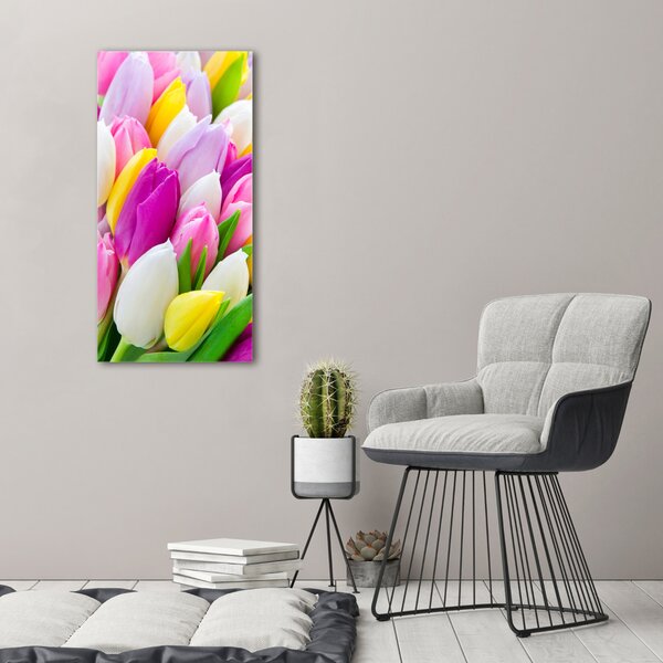 Vertikální Foto obraz na plátně Barevné tulipány ocv-104468261