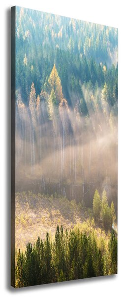 Vertikální Fotoobraz fotografie na plátně Mlha nad lesem ocv-104886541