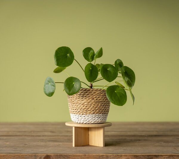 Bambusový stojan na květiny ø 18 cm – Esschert Design