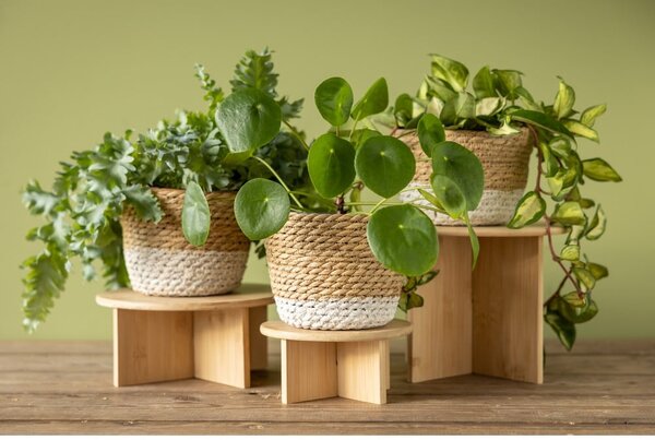 Bambusový stojan na květiny ø 18 cm – Esschert Design