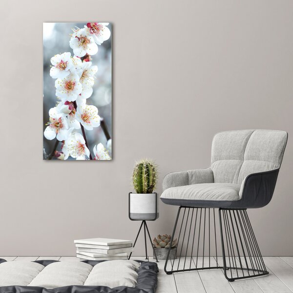 Vertikální Foto obraz canvas Květy višně ocv-104952401
