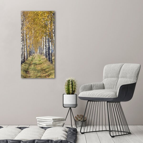 Vertikální Foto obraz canvas Břízový les ocv-105179971