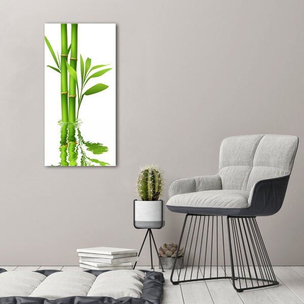 Vertikální Moderní fotoobraz canvas na rámu Bambus ocv-105685926
