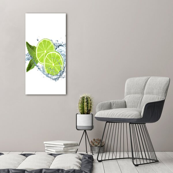 Vertikální Moderní obraz canvas na rámu Limetky ocv-105881774