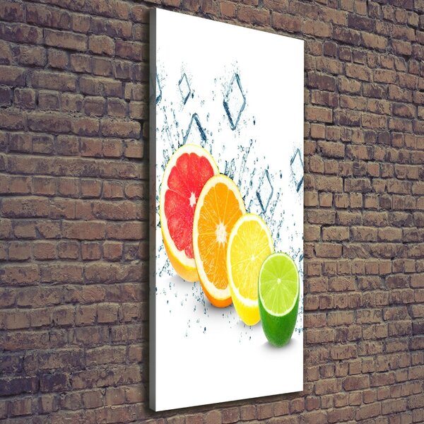 Vertikální Moderní obraz canvas na rámu Citrusy ocv-105914102