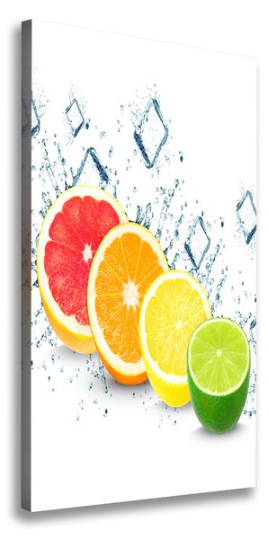 Vertikální Moderní obraz canvas na rámu Citrusy ocv-105914102