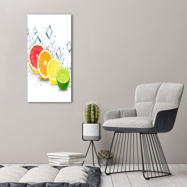 Vertikální Moderní obraz canvas na rámu Citrusy ocv-105914102