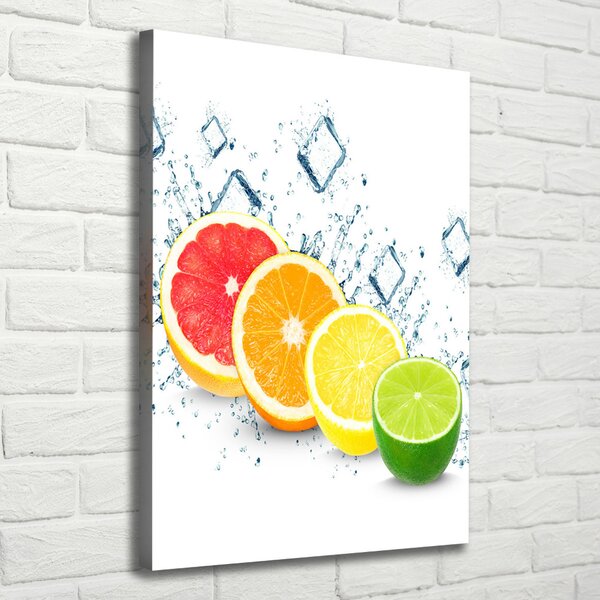 Vertikální Moderní obraz canvas na rámu Citrusy ocv-105914102