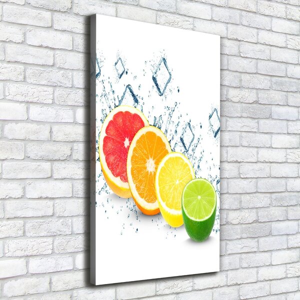 Vertikální Moderní obraz canvas na rámu Citrusy ocv-105914102