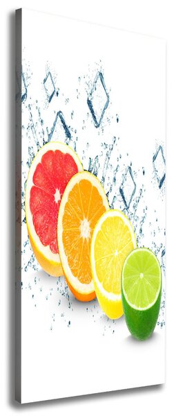 Vertikální Moderní obraz canvas na rámu Citrusy ocv-105914102