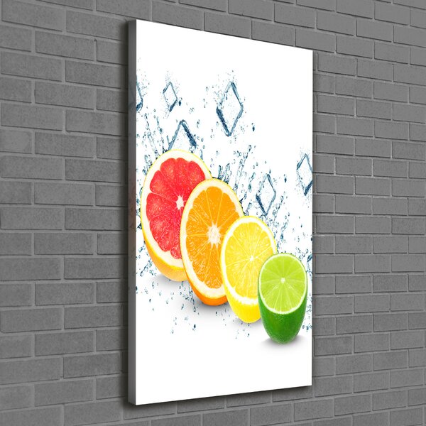 Vertikální Moderní obraz canvas na rámu Citrusy ocv-105914102