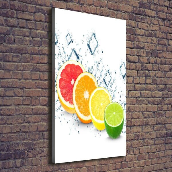 Vertikální Moderní obraz canvas na rámu Citrusy ocv-105914102