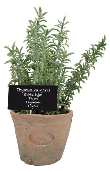 Umělá rostlina (výška 21,5 cm) Thyme – Esschert Design