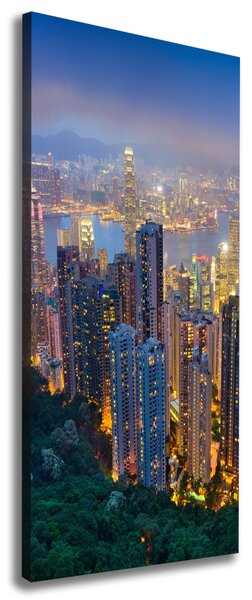 Vertikální Foto obraz na plátně Noční Hong kong ocv-106686696