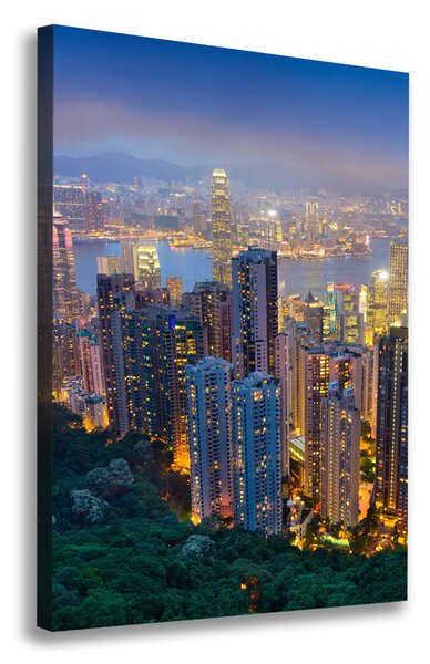 Vertikální Foto obraz na plátně Noční Hong kong ocv-106686696
