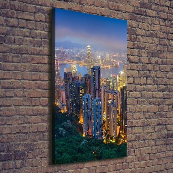 Vertikální Foto obraz na plátně Noční Hong kong ocv-106686696